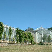 Schloss Pillnitz - Palmenhaus