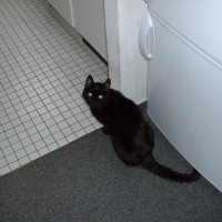 Nun mach schon auf...