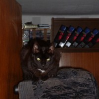 ... und war keiner da, wurde improvisiert