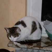 Unschuldsblick der Prinzessin in Perfektion