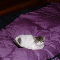 ... das Bett war das ihre.